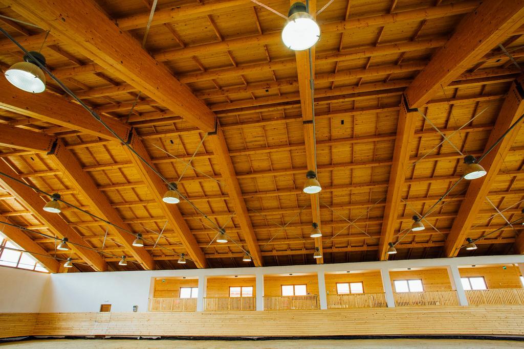 Kavalliera Pensiune Cotormani Extérieur photo